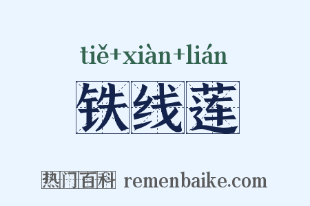 铁线莲是什么意思的图片